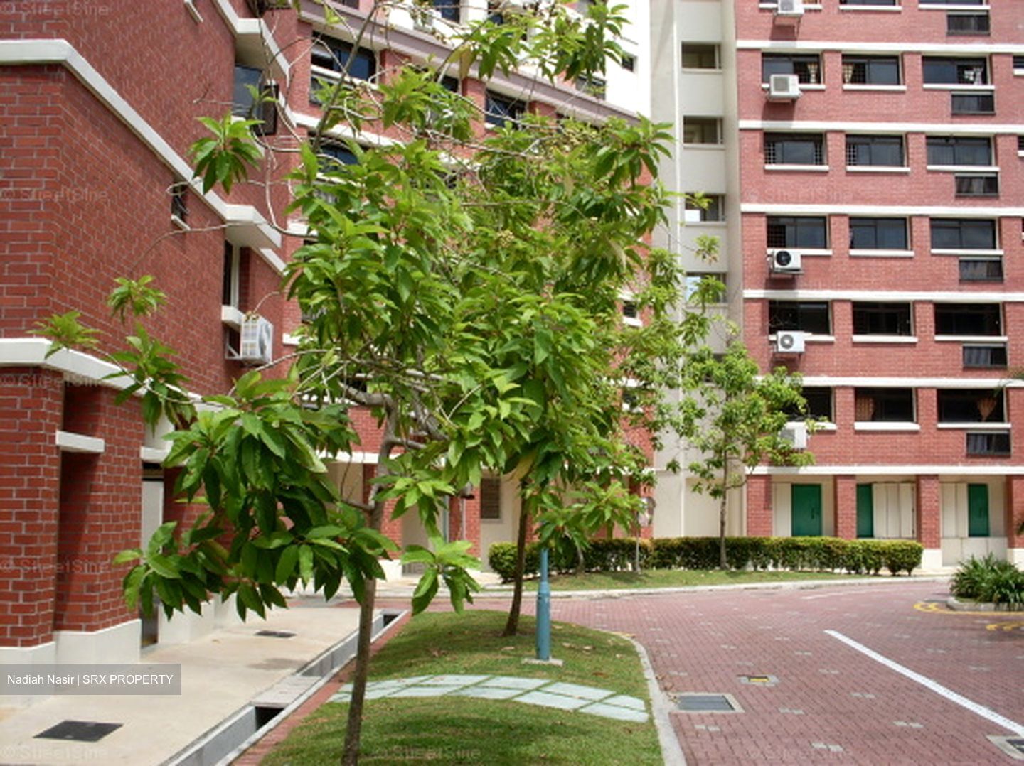 Blk 730 Tampines Street 71 (Tampines), HDB 4 Rooms #592861961